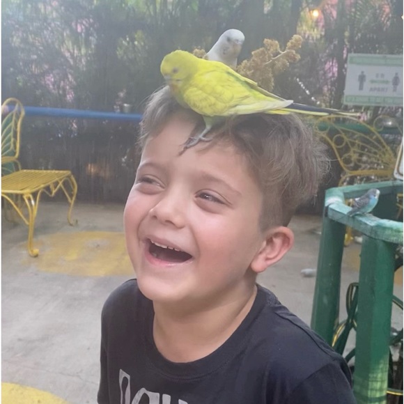 Meet your Posher, Tyghe - Picture 3 of 3